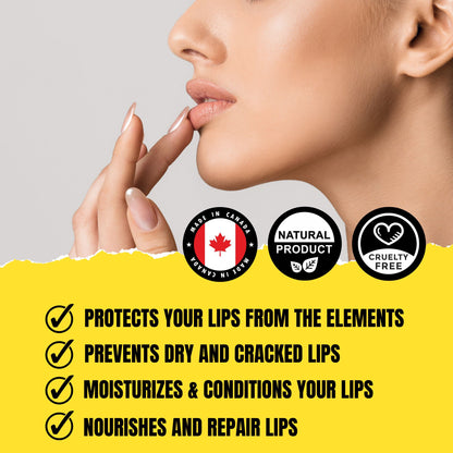 kissable lips benefits of lip balms